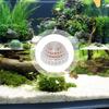 Plastic Aquarium Moss Ball Filter Aquatic Pet Supplies Decorations For Shrimps Fish Tank Pet Products Fish Tank Decor Moss Mold