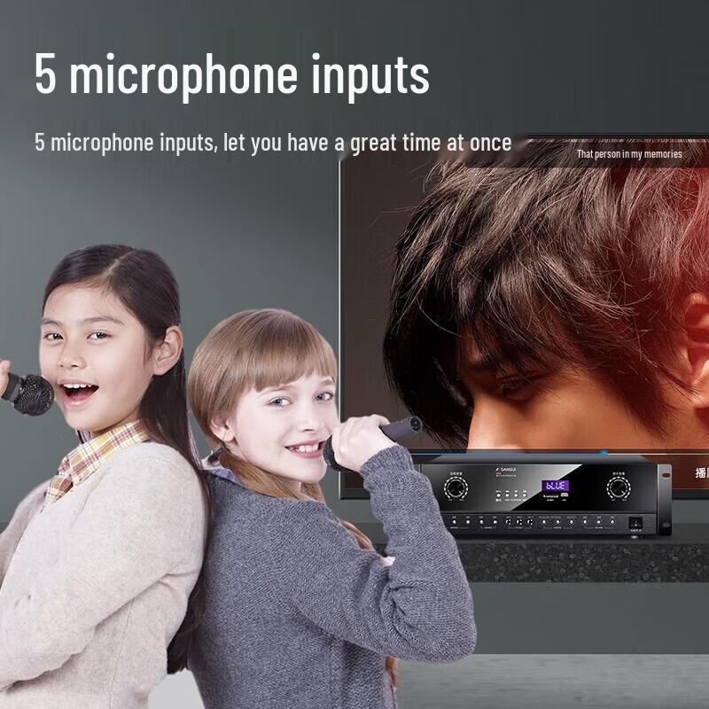 SANSUI DM2 Home KTV Audio Amplifier