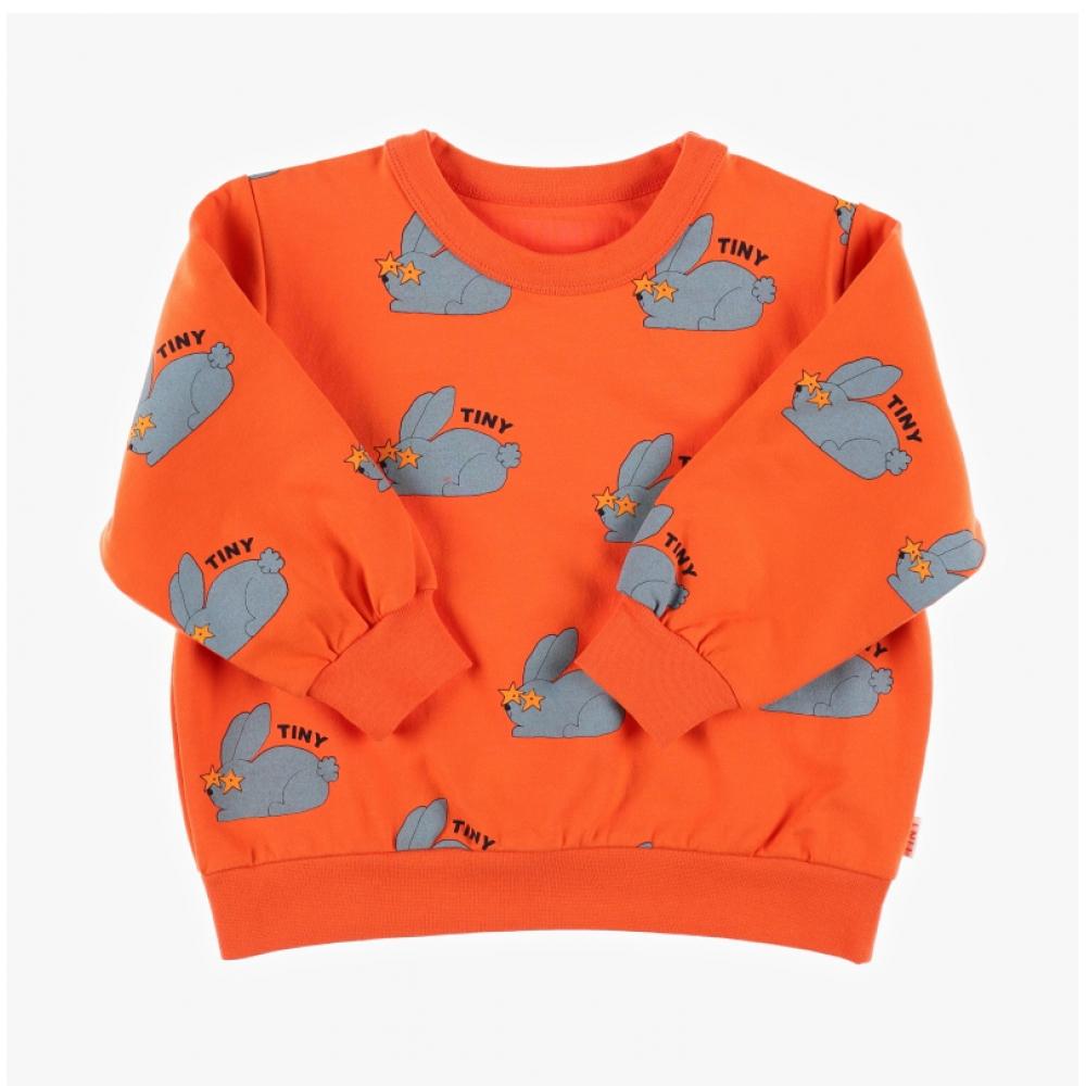 Tiny Cotton Aw24 059 J08  Rabbits Sweatshirt  Rabbit Kids Sweatshirt