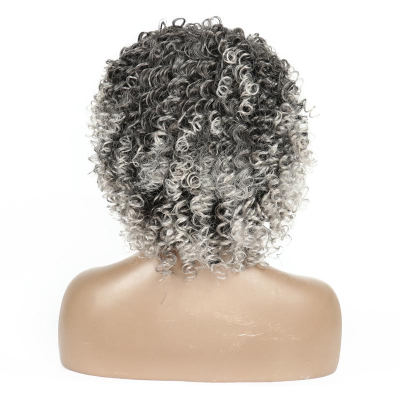 LISI HAIR Wigs European and American Fashion African Small Curly Ladies Wigs Headgear Afro