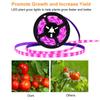 USB Plant Grow Light Strip 5V LED Full Spectrum Plant Light Strip Fill Light Strip