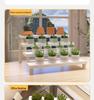 Desktop Ladder-Style Solid Wood Flower Stand for Small Plants and Succulents
