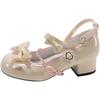Queen Fan Retro Versatile French Light Mouth Thick Heel Single Shoes Women's Summer 2025 New with Skirt Mary Jane Shoes