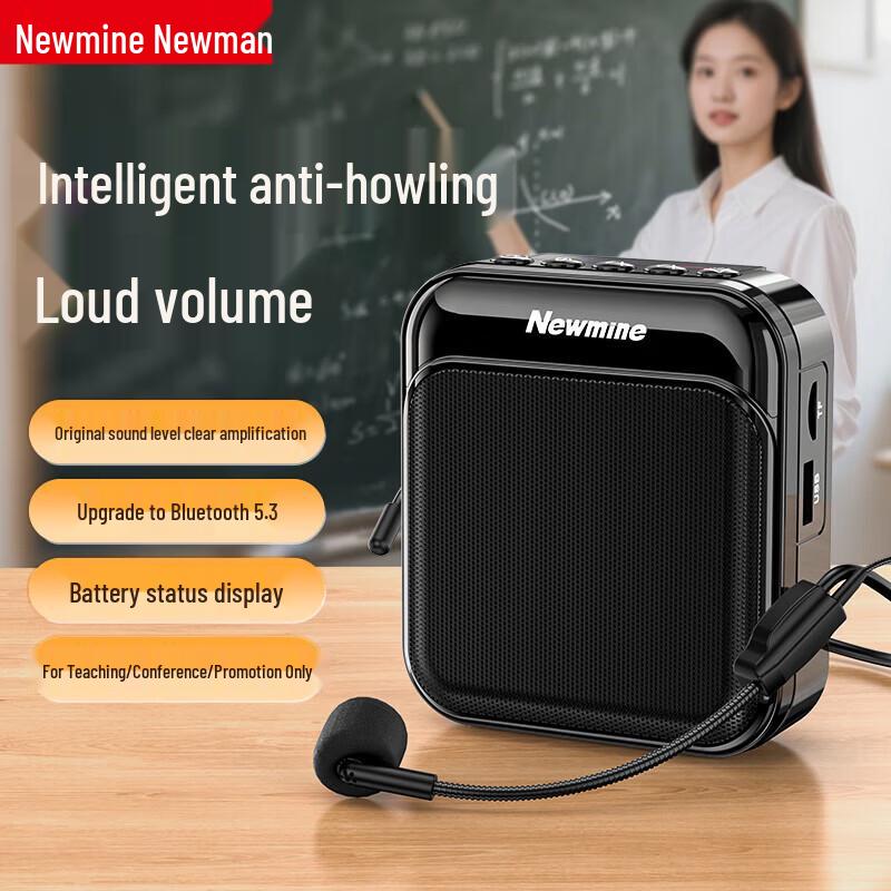 Newman Little Bee Amplifier