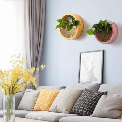 Round Succulent Planter Durable Decorative Creative Leakproof Hanging Hydroponic Styles Pot for Balcony Wall Decoration