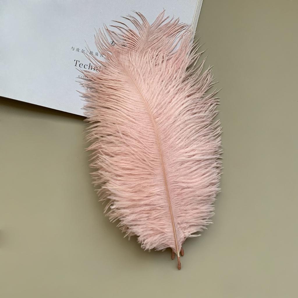 Source Thin Rod Ostrich Hair 20-25Cm High Quality Feather Diy Stage Clothing Accessories Flower Arrangement Material
