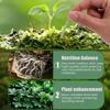 30/100PCS Plant Nutrition Bars NPK Compound Fertilizer for Healthy Growth of Fruit Vegetable Flower Plant Garden Care Gardening Accessory