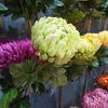 Large Artificial Chrysanthemum, Gaillardia, and Peony Flowers for Home Decor and Photo Props
