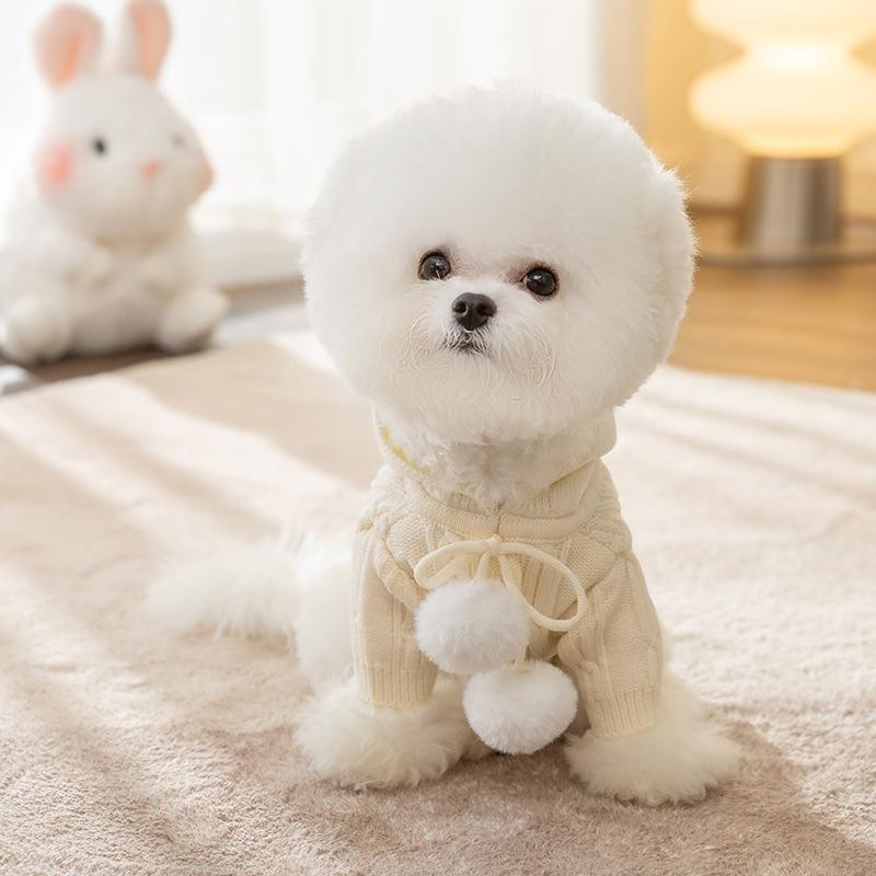 Early Autumn Dog Sweater Autumn and Winter Warm Hooded Hairball Two Feet Teddy Cat Small Dog Pet Bigbear Clothes
