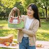 Portable Lunch Box Bag Cold Insulation Picnic Bag Handbag Style Food Storage Pouch  Work
