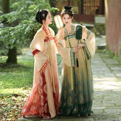 Ensemble de robe d'été pour femmes, Style chinois de la dynastie Tang, broderie Hanfu améliorée, tenue quotidienne