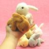 TST Advance Little Beans Rabbit Pink 10566PK