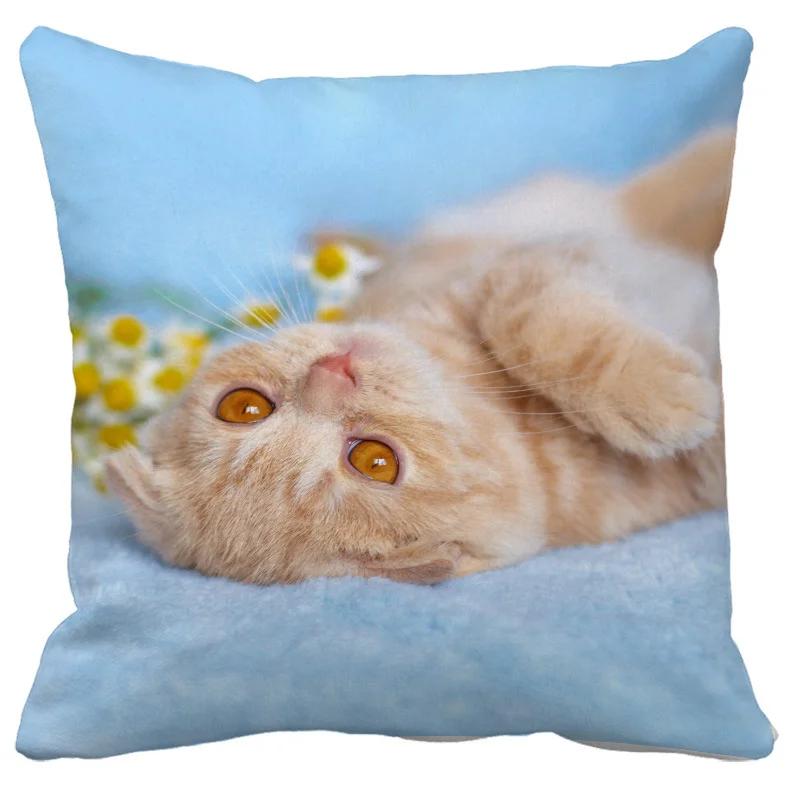 

Cute Pet Cat Pillowcase Sleeping Bubble Black Kids Gift Cushion Cover Sofa Living Room Home Decor Custom 30x30CM(12x12in)