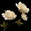 3 Heads Lifelike Flowers Multicolor Faux Flower Peony Peony Artificial Flower  Home Decoration