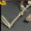 Scheletro Umano Completo per Halloween, Ossa Craniche Realistiche per Casa Infestata, Decorazioni Spaventose per Feste