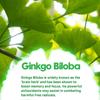 Ginkgo Biloba Extract Capsules, Natural Supplement, Easily Absorbed, Suitable for Adults.