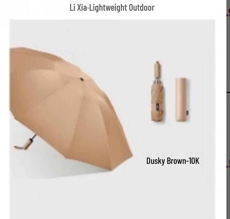 Bananaunder Full-Automatic 10-Rib Reverse Folding Umbrella