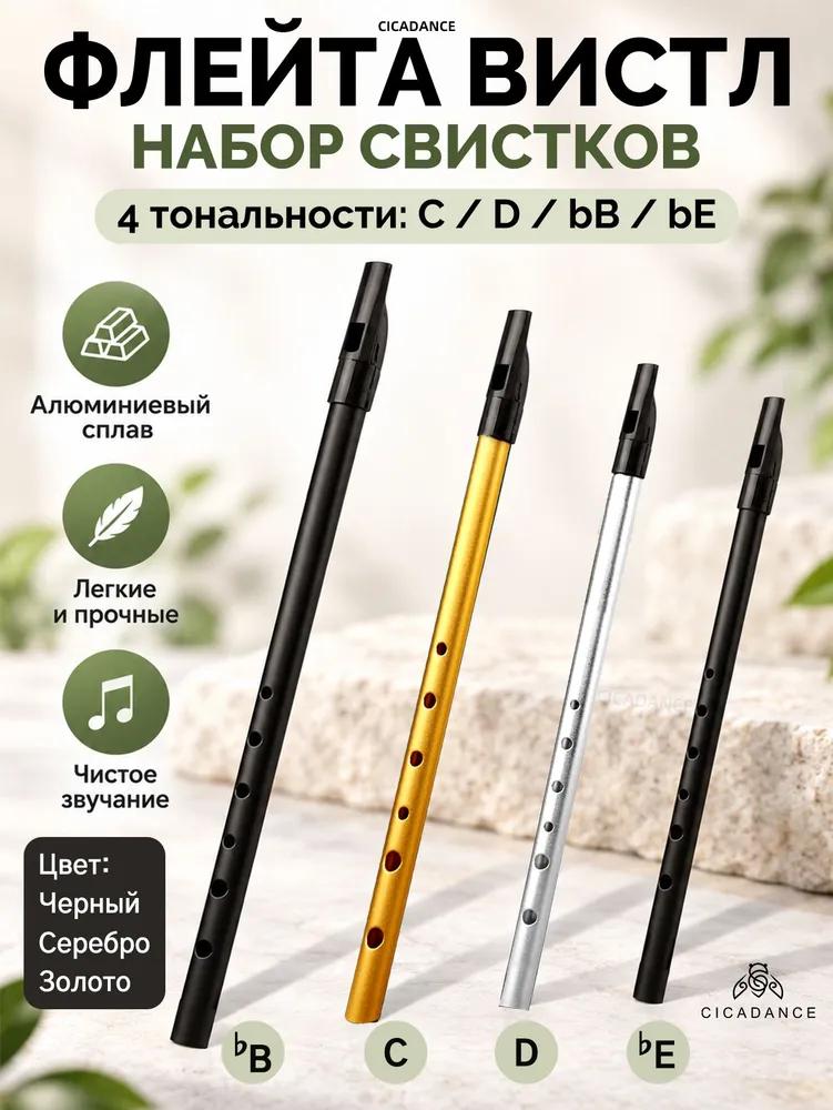 CICADANCE Píšťalka na flétnu, Černá, Tónina C, Nástroj se 6otvorovou flétnou, Kovový hudební nástroj