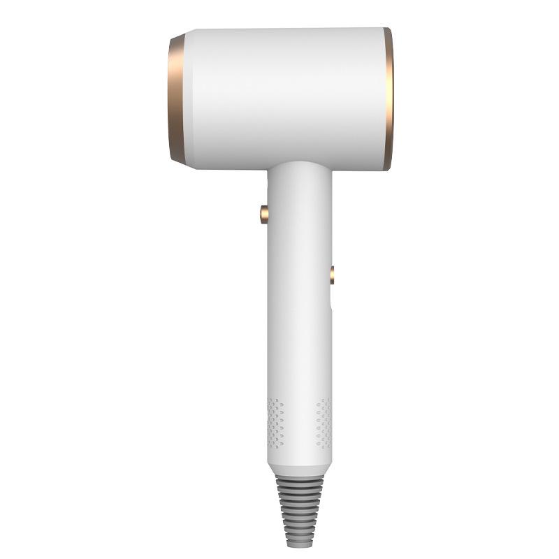 High Power Blue Light Negative Ion Hair Dryer for Home or Dorm
