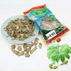 Tè alle erbe a fette di Sanqi Notoginseng dello Yunnan Radice essiccata di Panax