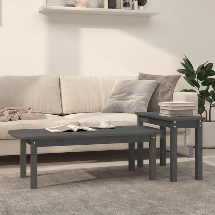 VidaXL Ensemble de tables basses 2 pcs Gris Bois massif de pin 822364