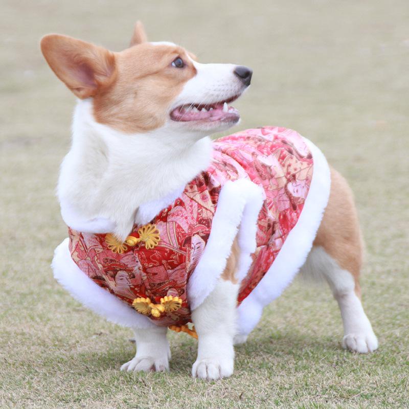 

Погладьте его китайский плюшевый корги национальный стиль собака Тан ватник Праздник Весны переодевание домашнее животное кошка платье для тепла M красный