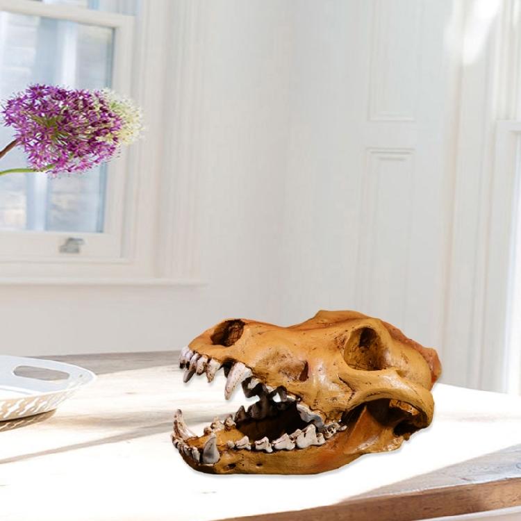 Artistic Wolf Skull Sculpture Resins Construction Animal Head Skeleton Replicas for Office Desk Decors Museums Display