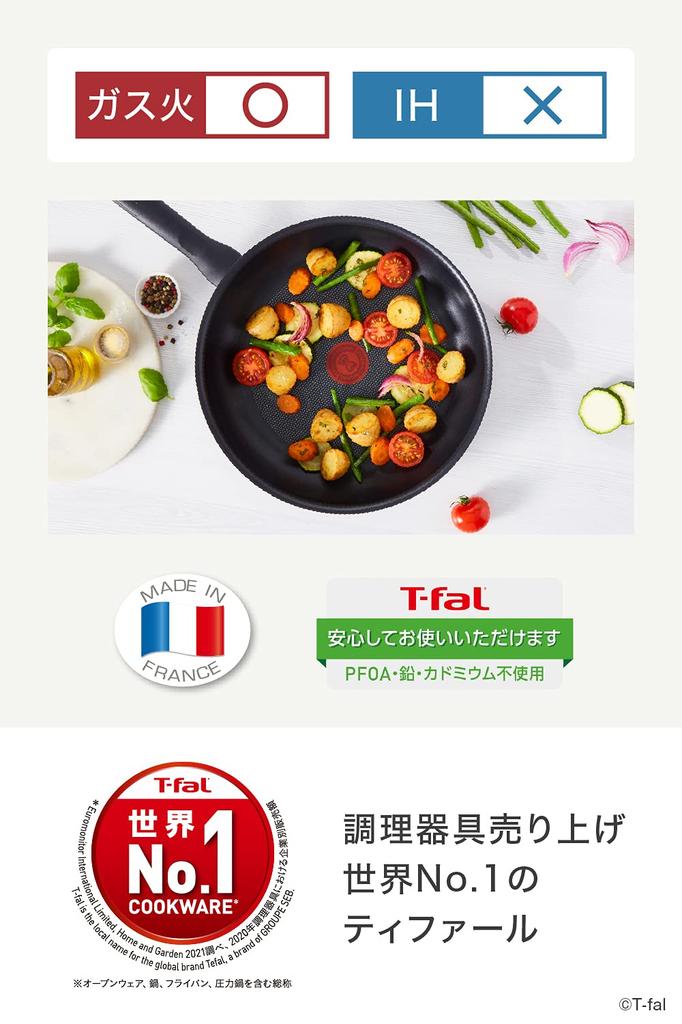 T-fal Honey Gold Egg Roaster 12x18 cm Non-Stick Gas Stove Only PFOA Free B58618