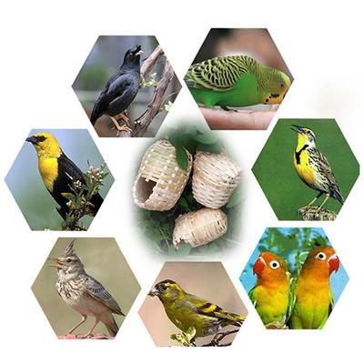 Hanging Bird Nest Natural Bamboo Bird Hut Outdoor Birdhouse Wren Nest Chickadee House Small Shelter for Finch Canary
