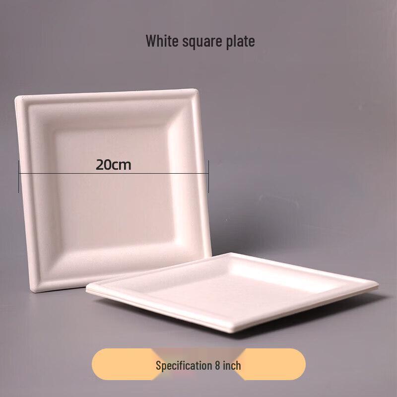 Biodegradable Disposable Plates & Dishes