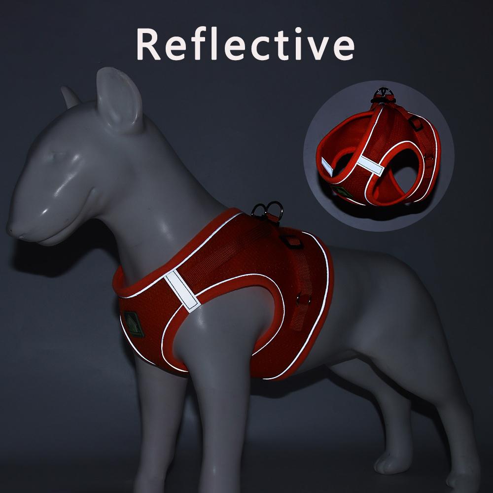 Valp Hund Sele Kopprep Set Andningsbar Sommar Mesh Katt Hundar Sele Väst Reflekterande Husdjur Katt Bröstremmar Chihuahua Yorkies