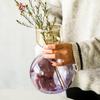 Nordic Modern Simple High Sensitivity Colorful Glass Tabletop Vase Elegant Flowers Water Cultivation Vases for Home Living Room