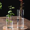 Transparent Glass Hydroponic Vase Minimalist Glass Vase Cylinder Flower Vase for Wedding Living Room Decorative Gift