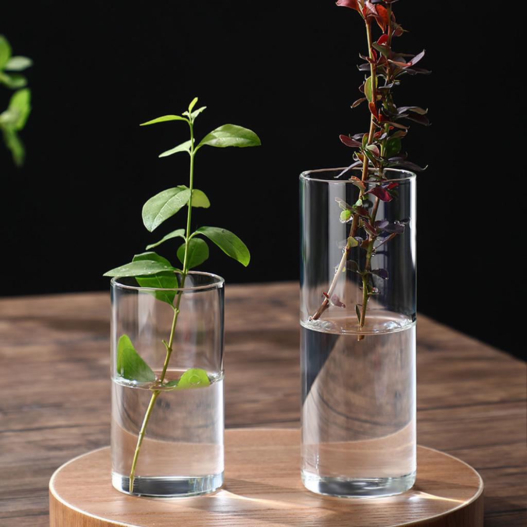 Transparent Glass Hydroponic Vase Minimalist Glass Vase Cylinder Flower Vase for Wedding Living Room Decorative Gift