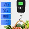 Weighing Scale Accuracy Unit Conversion Electronic Scales Auto Power Off Metal Hook Measuring Tool Weighing Fishing