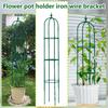 Powojnik Pnącze Stojak na Kwiaty Pnącze Wspornik na Pnącza Doniczka DIY Stojak do Pnących Roślin
