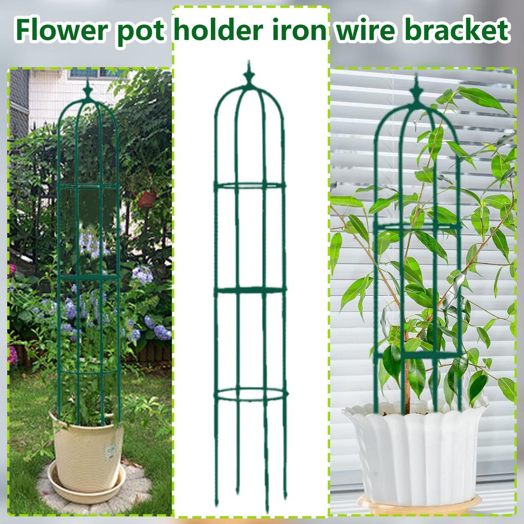 Powojnik Pnącze Stojak na Kwiaty Pnącze Wspornik na Pnącza Doniczka DIY Stojak do Pnących Roślin