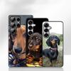 Phone Cover for Samsung Galaxy A07 A13 A12 A14 A23 A42 A50 A51 A52 A53 A70 A71 A72 A21S A04 Note 20 9 8 10 Case Dachshund Dog