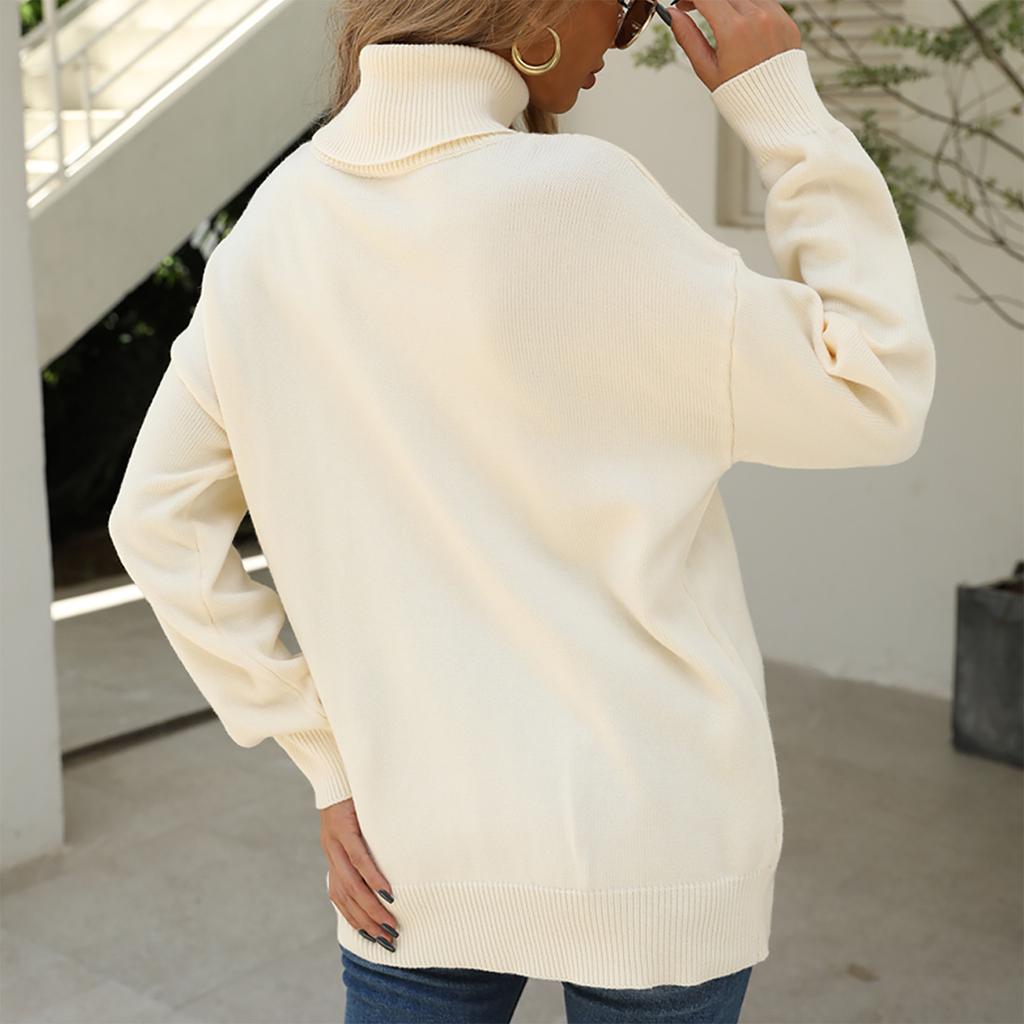 Women Casual Solid Color Pullover High Neck Long Sleeve Sweater Top