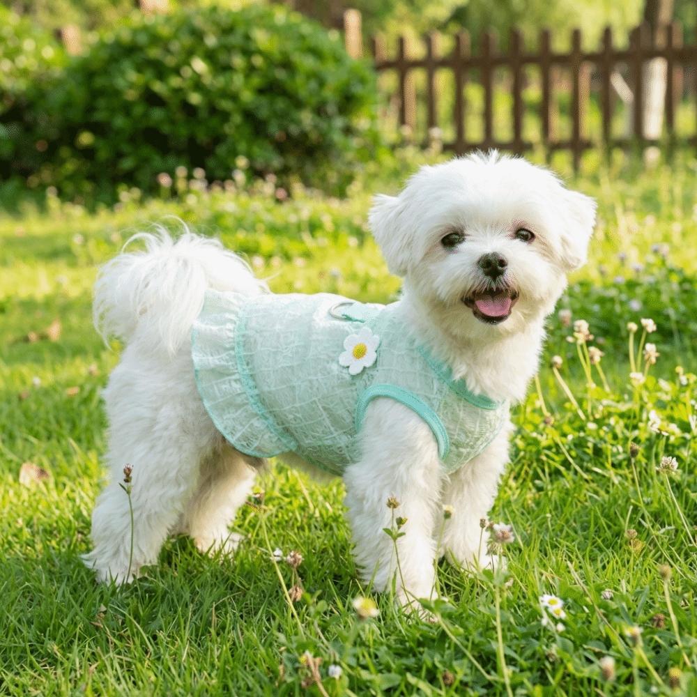 Breathable Mesh Dog Cool Dress Flying Sleeves Pet Floral Skirt Cooling Dog Vest  for Cats Puppy