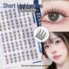Glue-Free K-pop Beginner False Eyelashes: Natural, Short, Realistic Segmented Lashes for On-Camera Idol Look