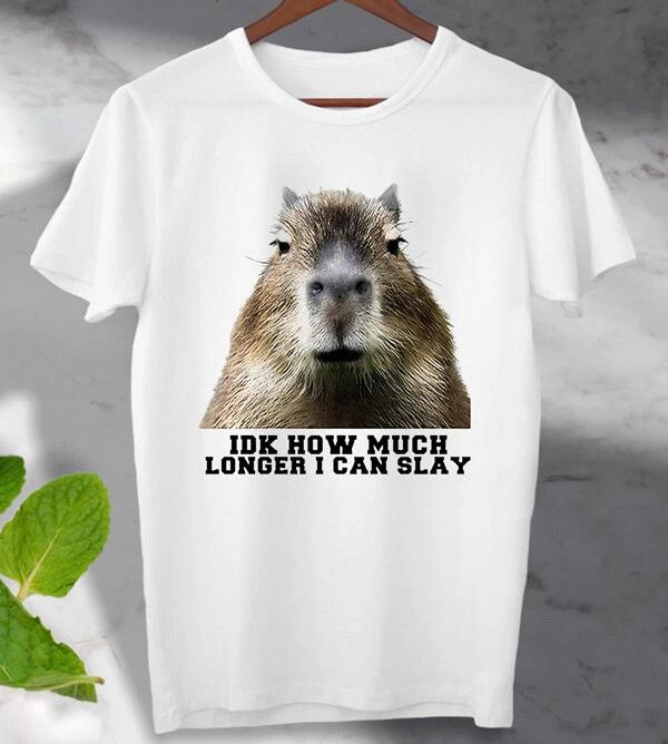 

Idk How Much Longer I Can Slay T shirt Unisex Men s Ladies Top M