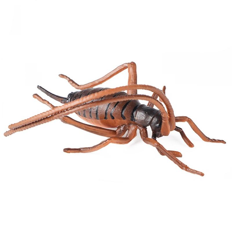 Insect Model Water Bug Toy With Plastic Material For Childrens Educational Play