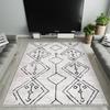 Decorative Area Rugs, Rugs For Living Room, Machine Washable Rug, Non Slip Rug