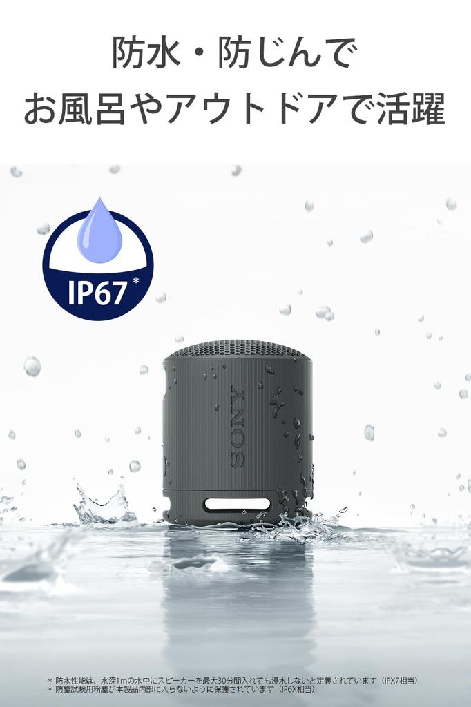 Sony Wireless Speaker Clear Sound with Deep Waterproof and Dustproof Long Battery Life 16 Stereo Pair USB Black SRS-XB100 Bass, (IP67),