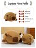 Adorable Capybara Plush Doll: Round Pillow & Creative Birthday Gift
