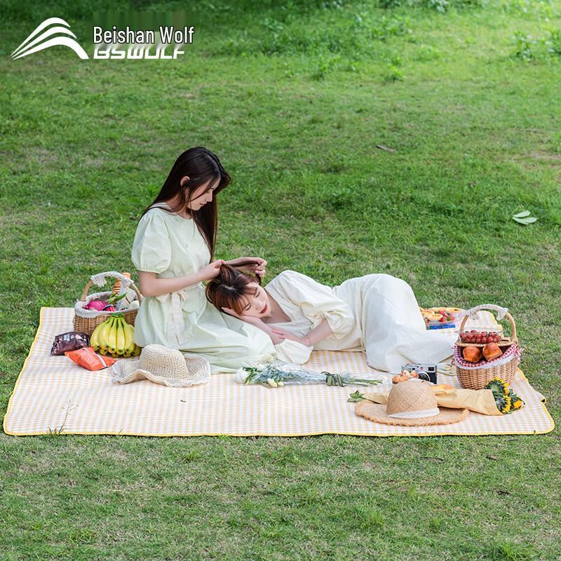Outdoor Portable Picnic Mat