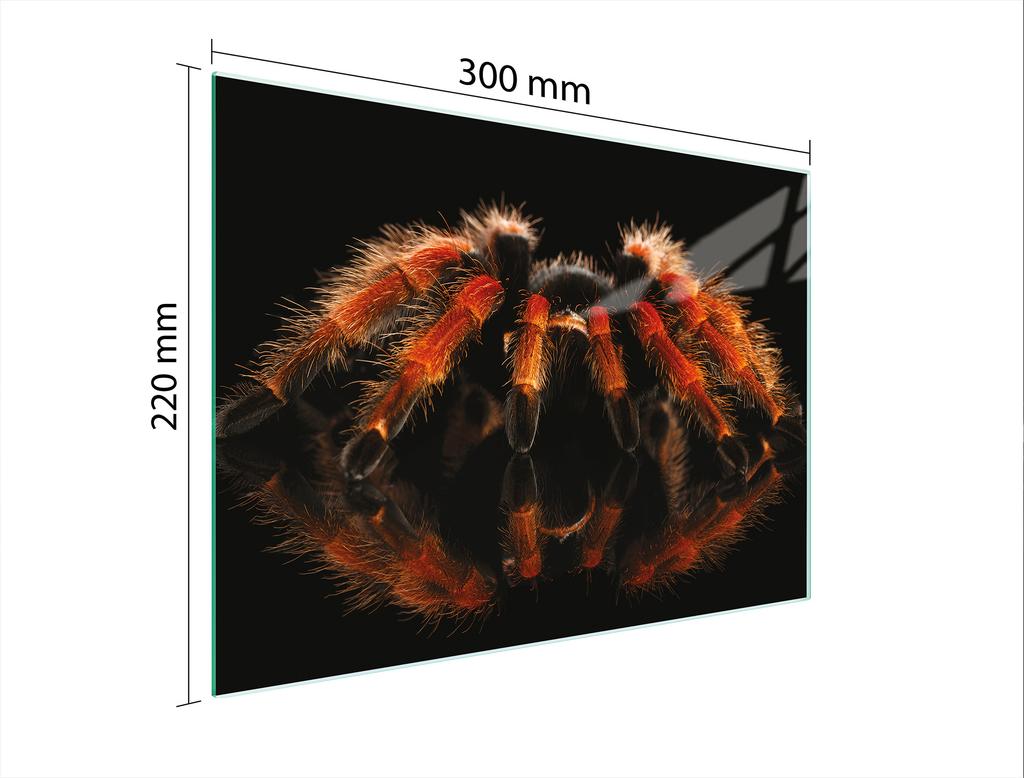 SZKLANA DESKA DO KROEJNIA 30x22 PAJĄK