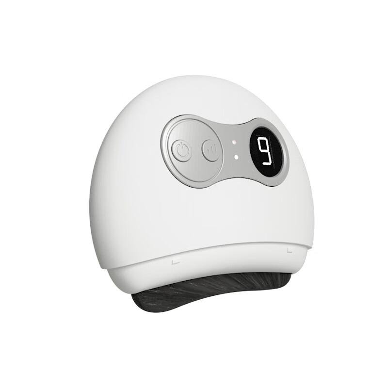 JANCHENG Electric Bian Stone Gua Sha Massager
