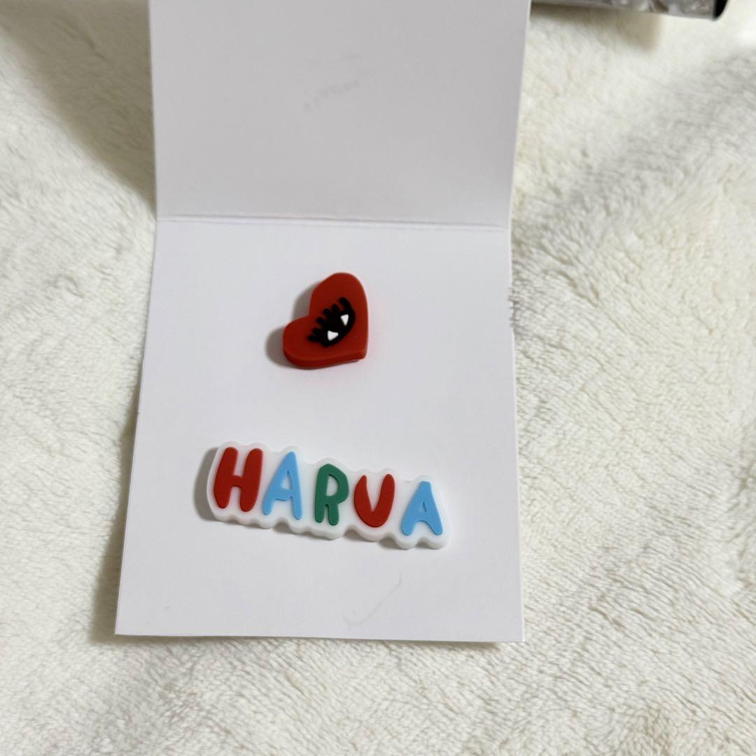 

[USED] &TEAM Pop-up HARUA Harua Deco Parts